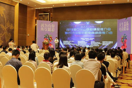 2019?？诨鹕嚼笾吠平闀吆Ｄ仙r電商綜合推介會圓滿舉行，跨界融合探索區(qū)域品牌與電商發(fā)展新路徑